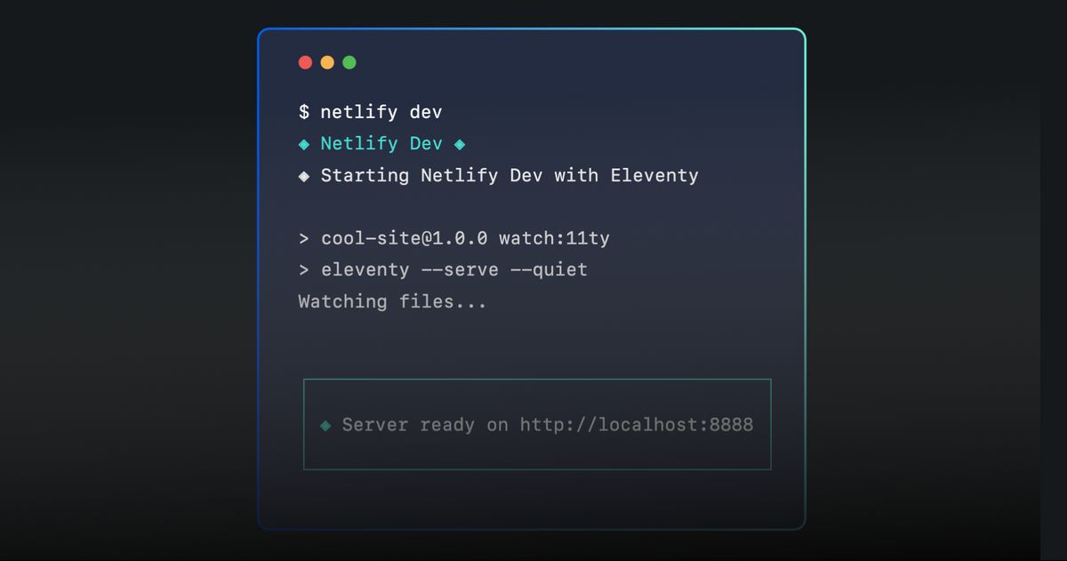 Netlify dev cli output